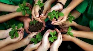 "Environmental Education" Issues Bulletin for World Day to Combat Desertification and Drought