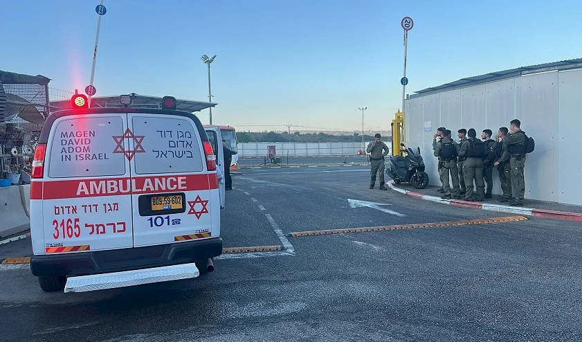 8 morts depuis le début de la semaine.. Deux nouveaux crimes à B'ssamé Tabboun et Shafa Amr