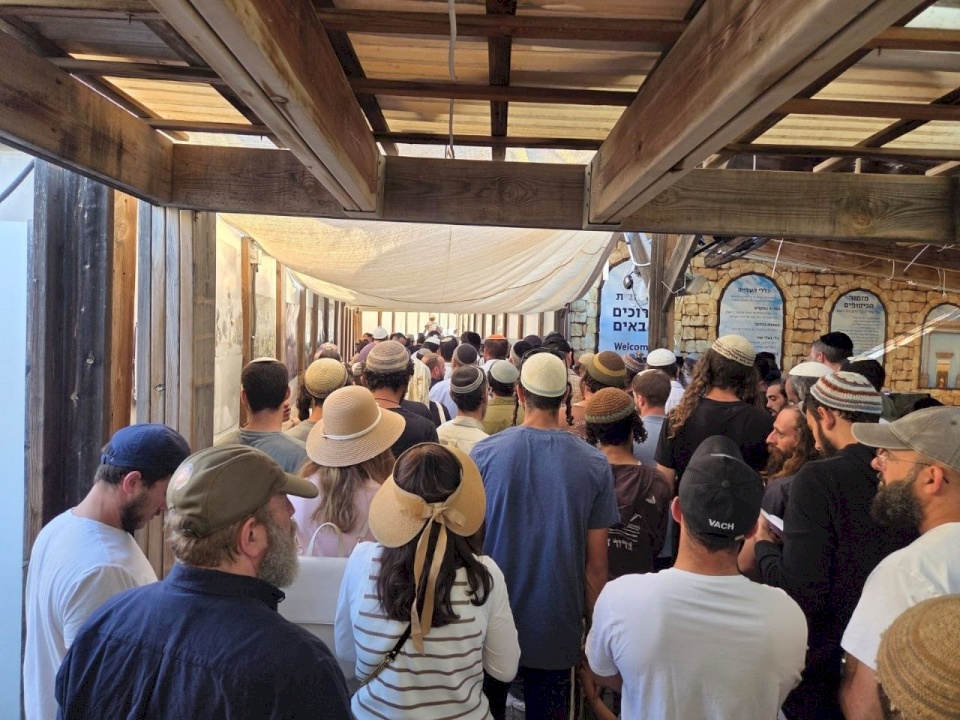 More than 900 settlers storm Al-Aqsa Mosque so far